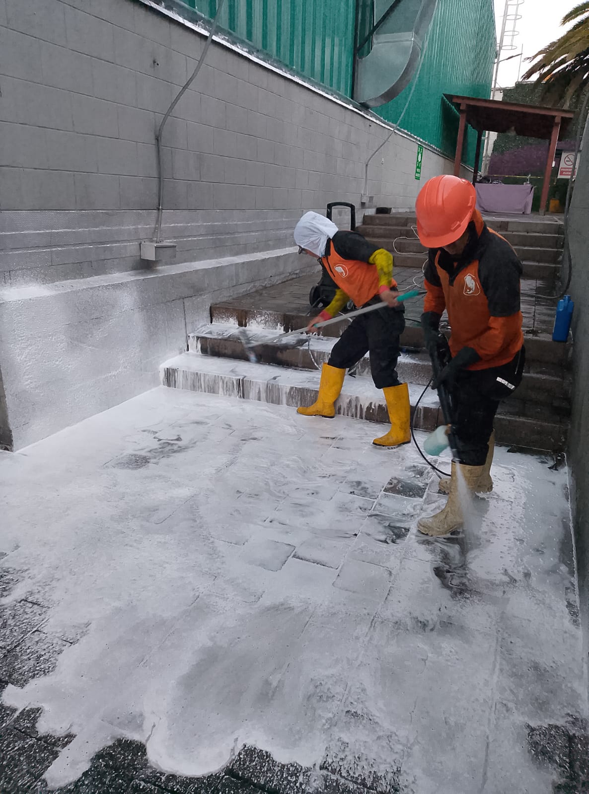 Limpieza de galpones