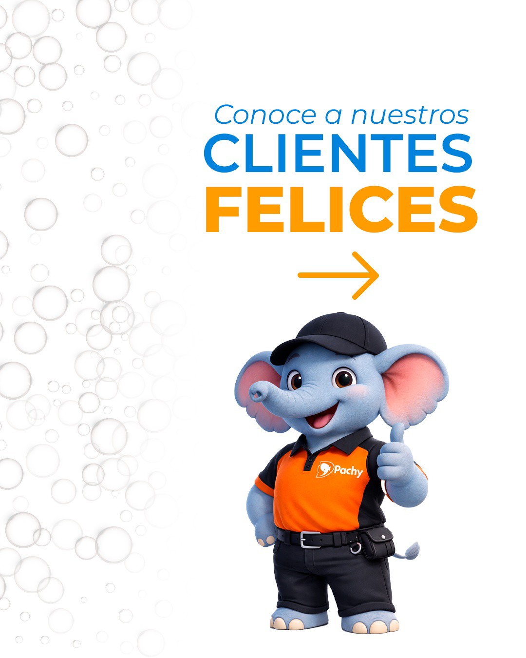 Conoce a nuestros clientes felices